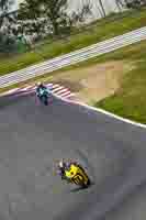 Middle Group Yellow Bikes